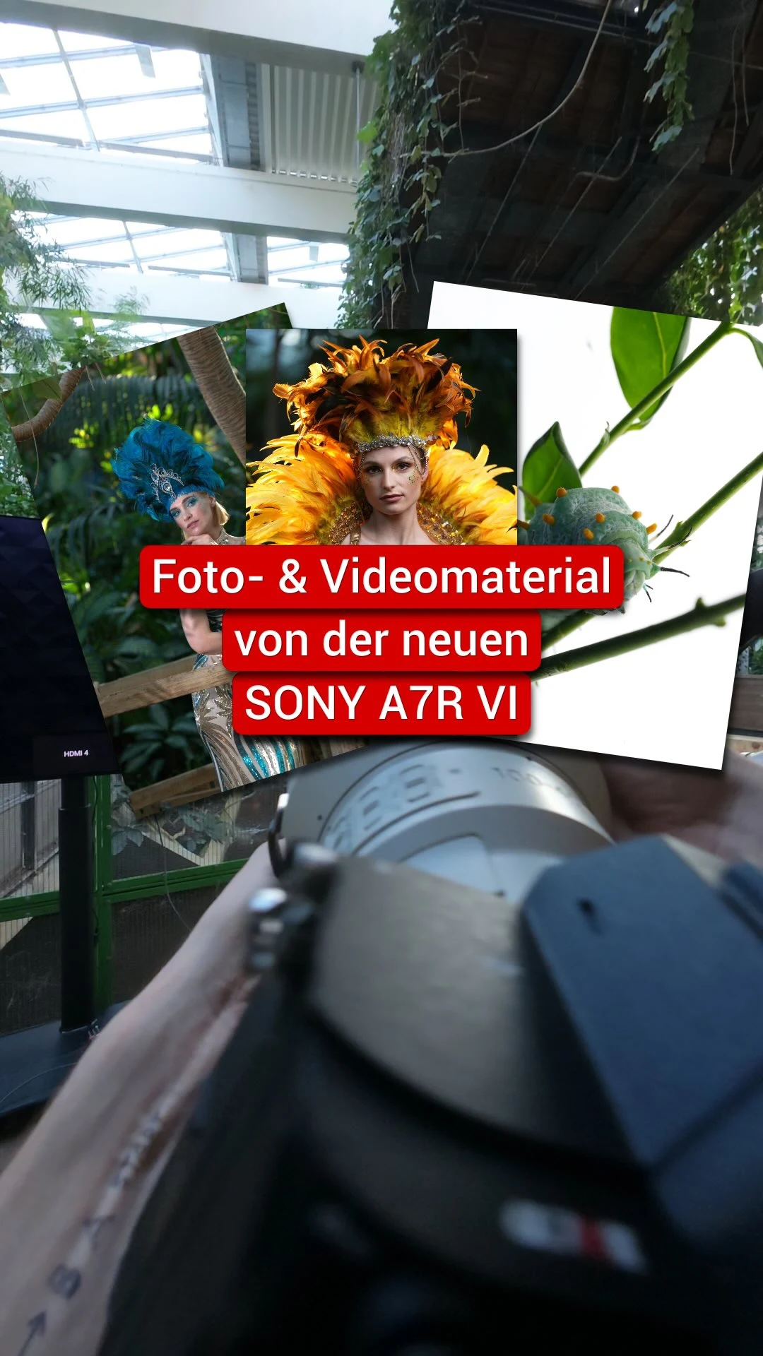 Sony Alpha 7R VI: Erster Praxistest in Berlin