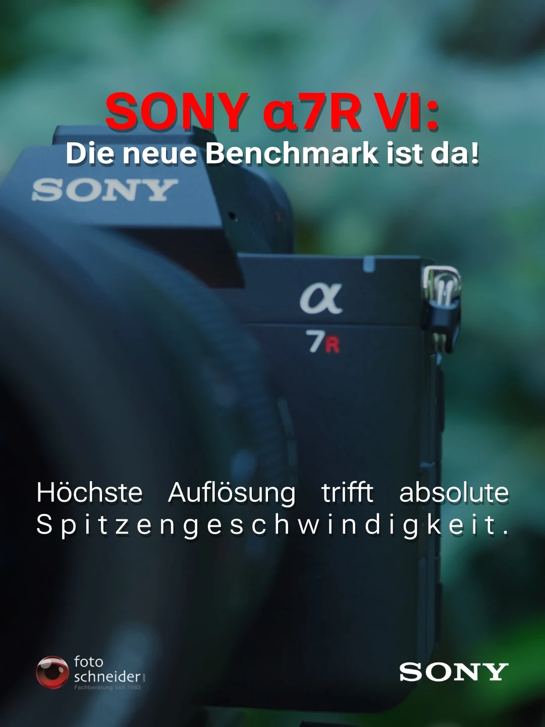 Grafik-Cover für ein Instagram-Karussell mit dem Titel Hard Facts im…