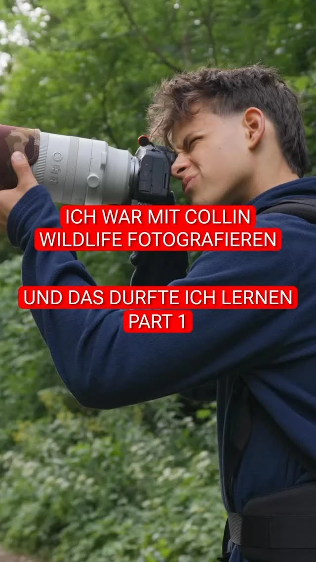 Das größte Geheimnis gelungener Wildlife-Fotografie? Spoiler vorweg: Es…