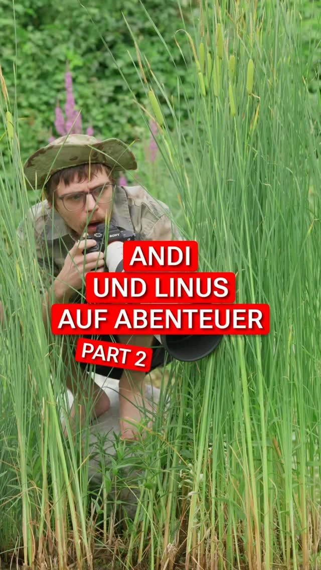 Unser Forscher Linus hat sich todesmutig ins Dickicht gewagt, um die…