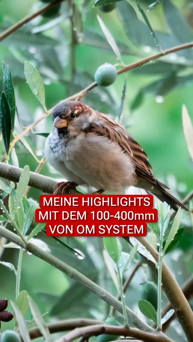 5 Tage Kroatien, 2.000 Fotos und jede Menge Wildlife-Momente!