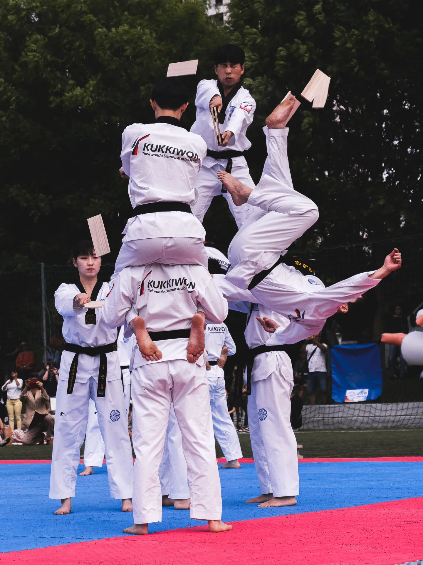 Fighters World