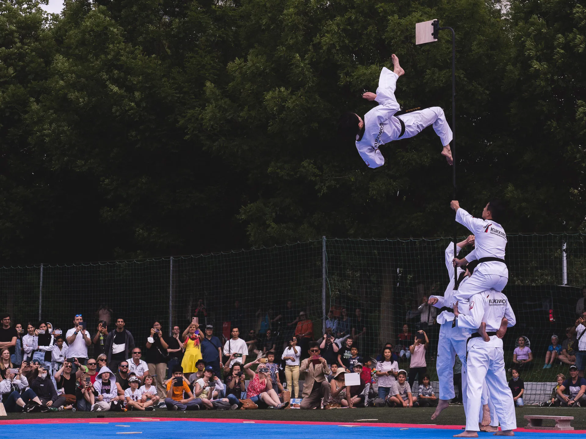 Fighters World