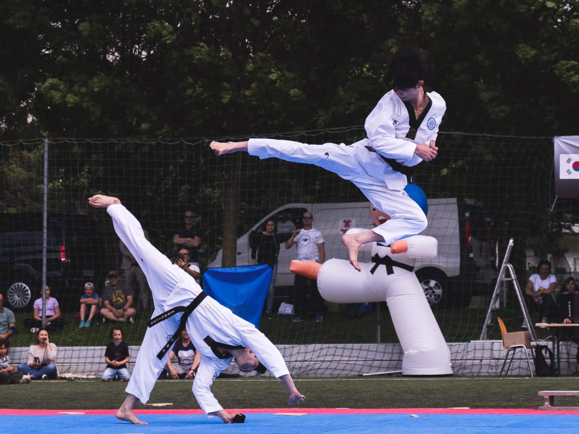 Fighters World