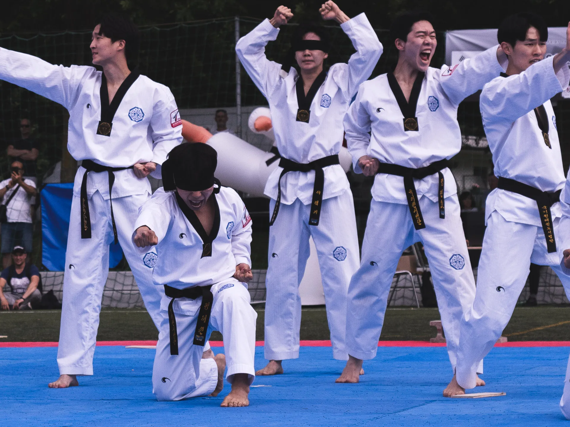 Fighters World