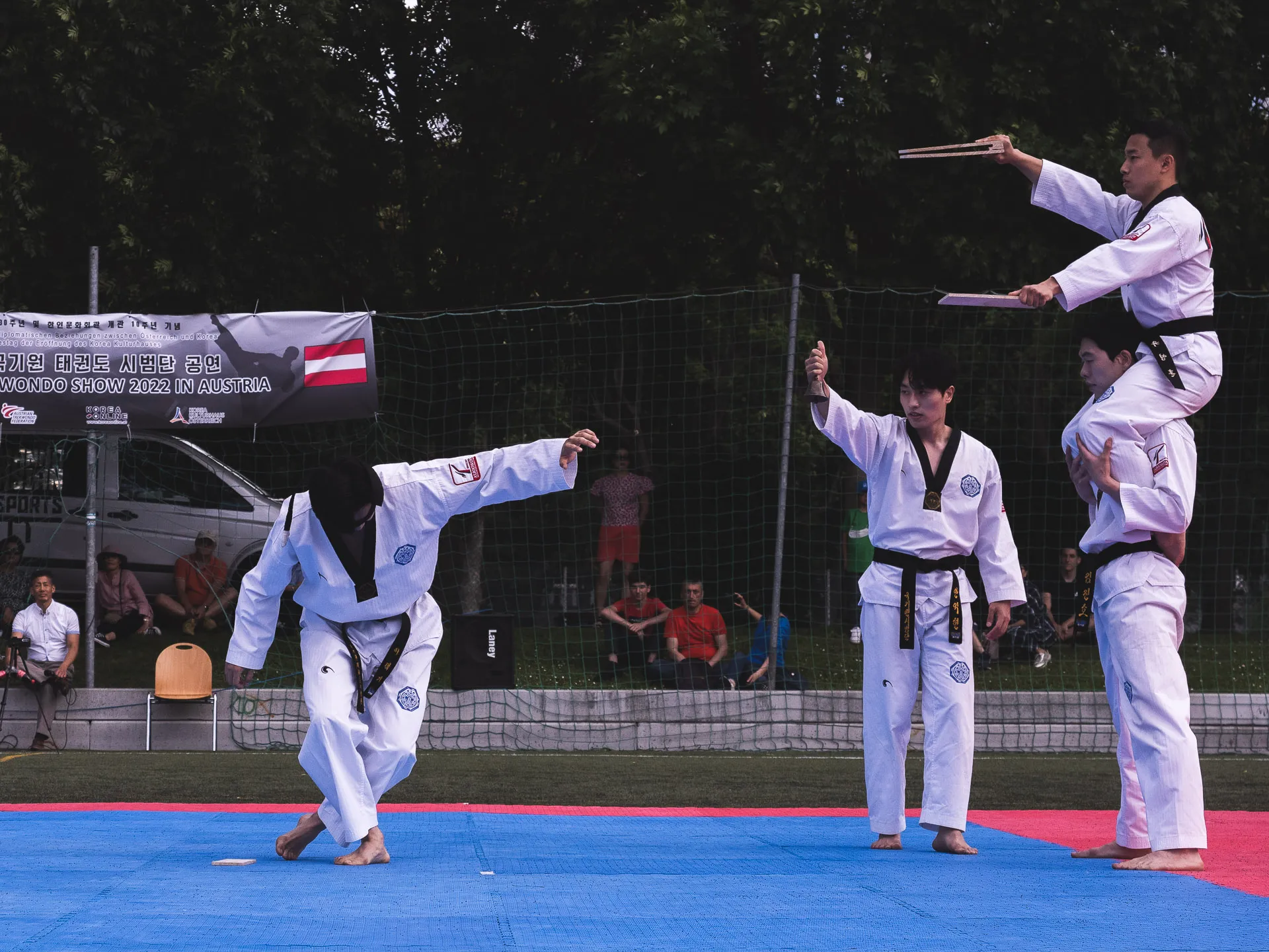 Fighters World