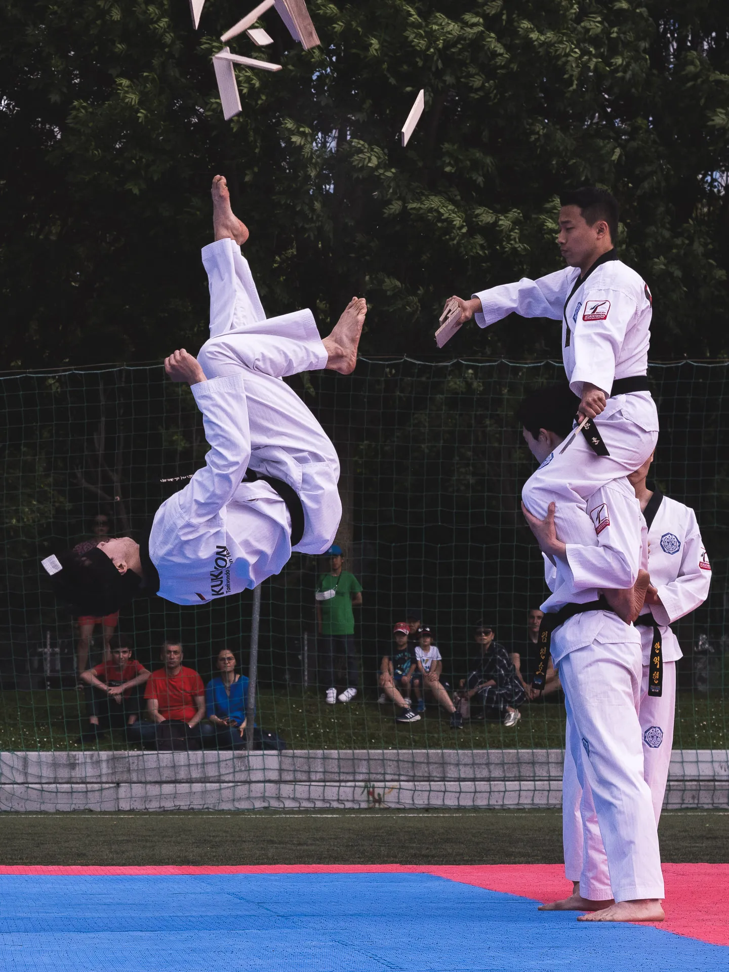 Fighters World