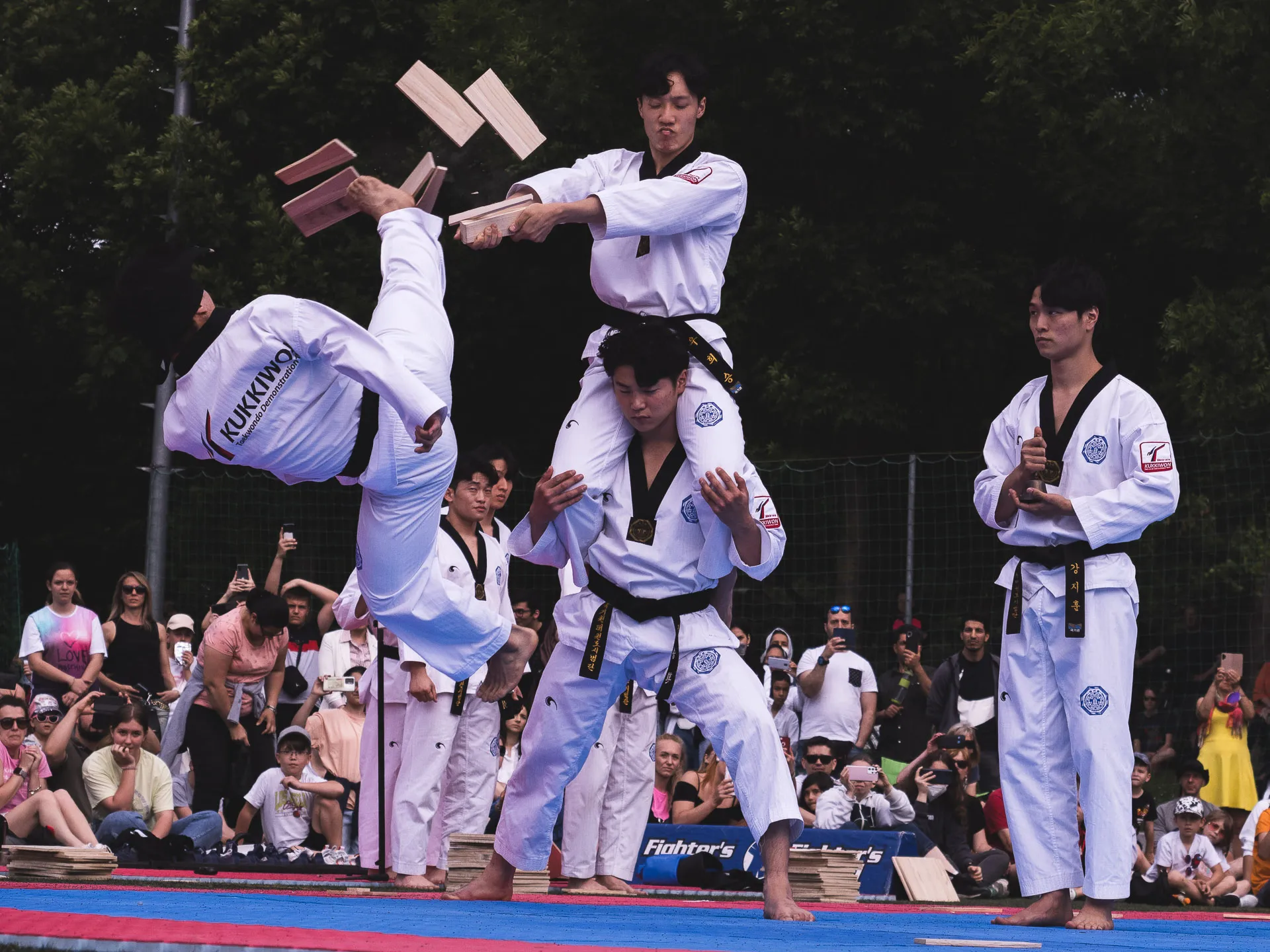 Fighters World