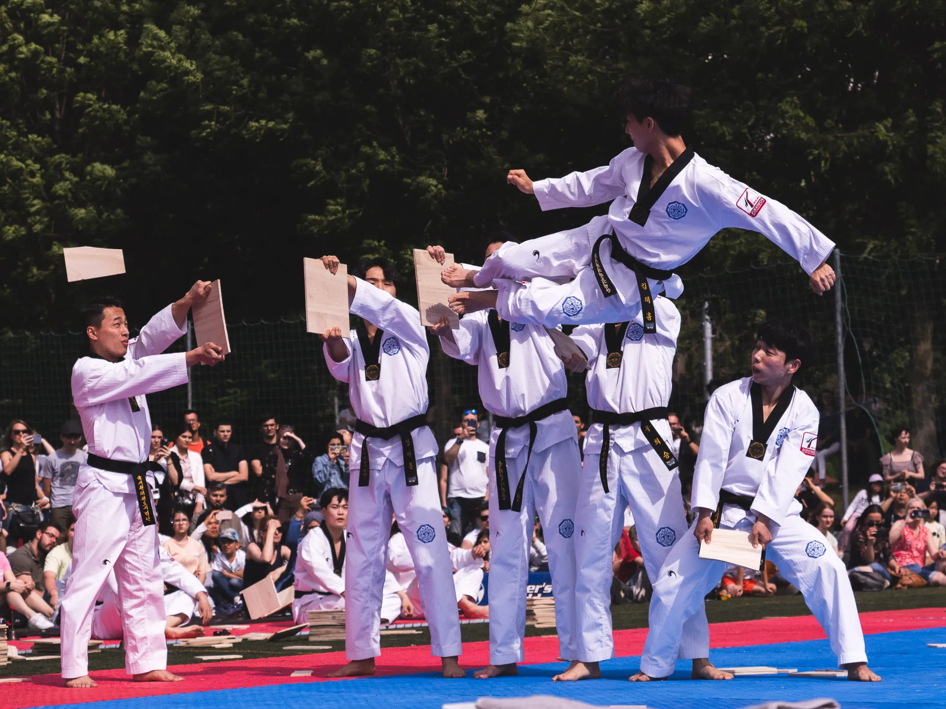 Fighters World