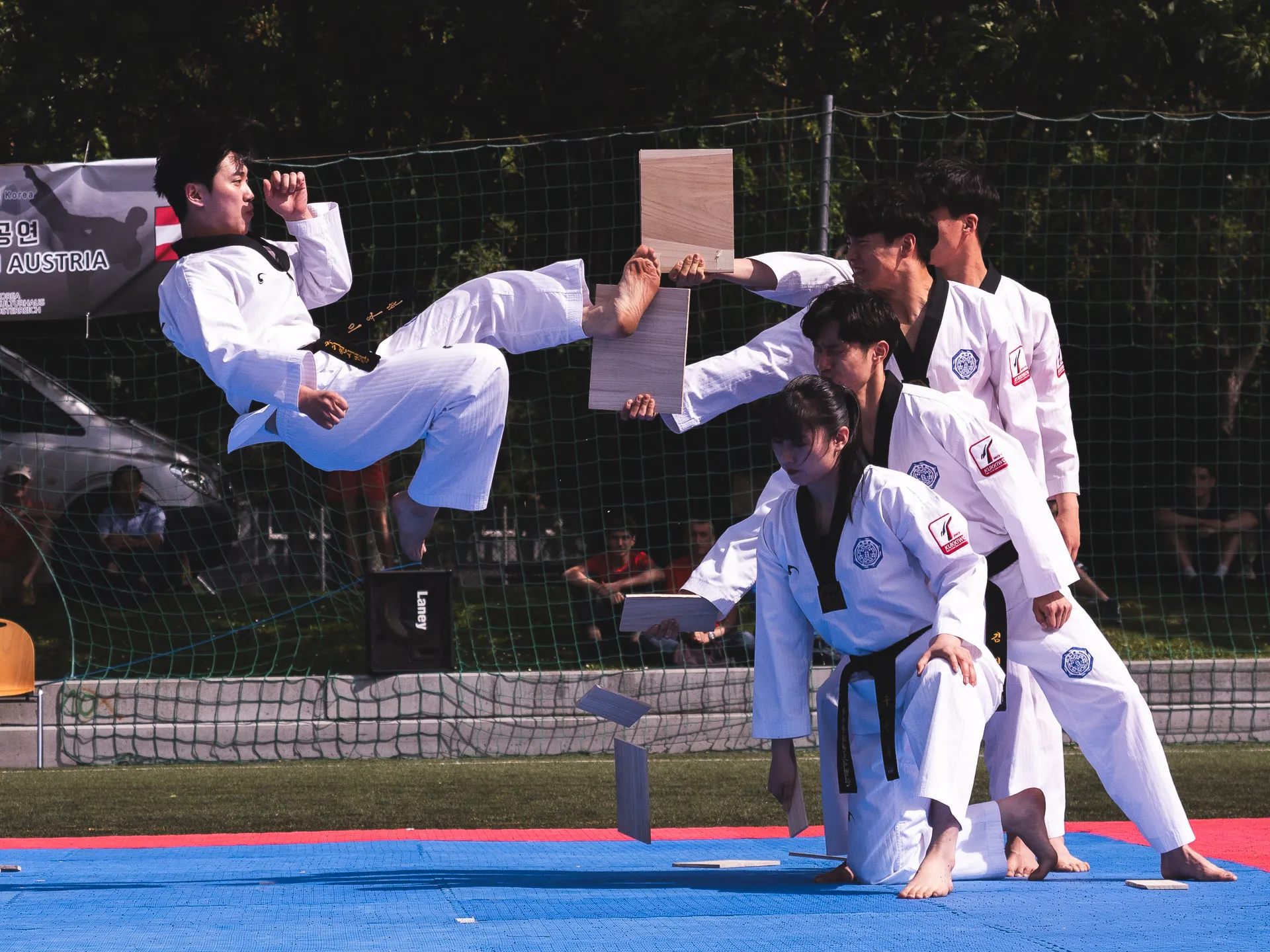 Fighters World