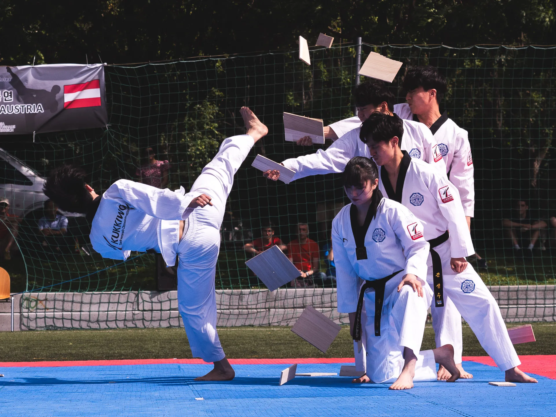 Fighters World