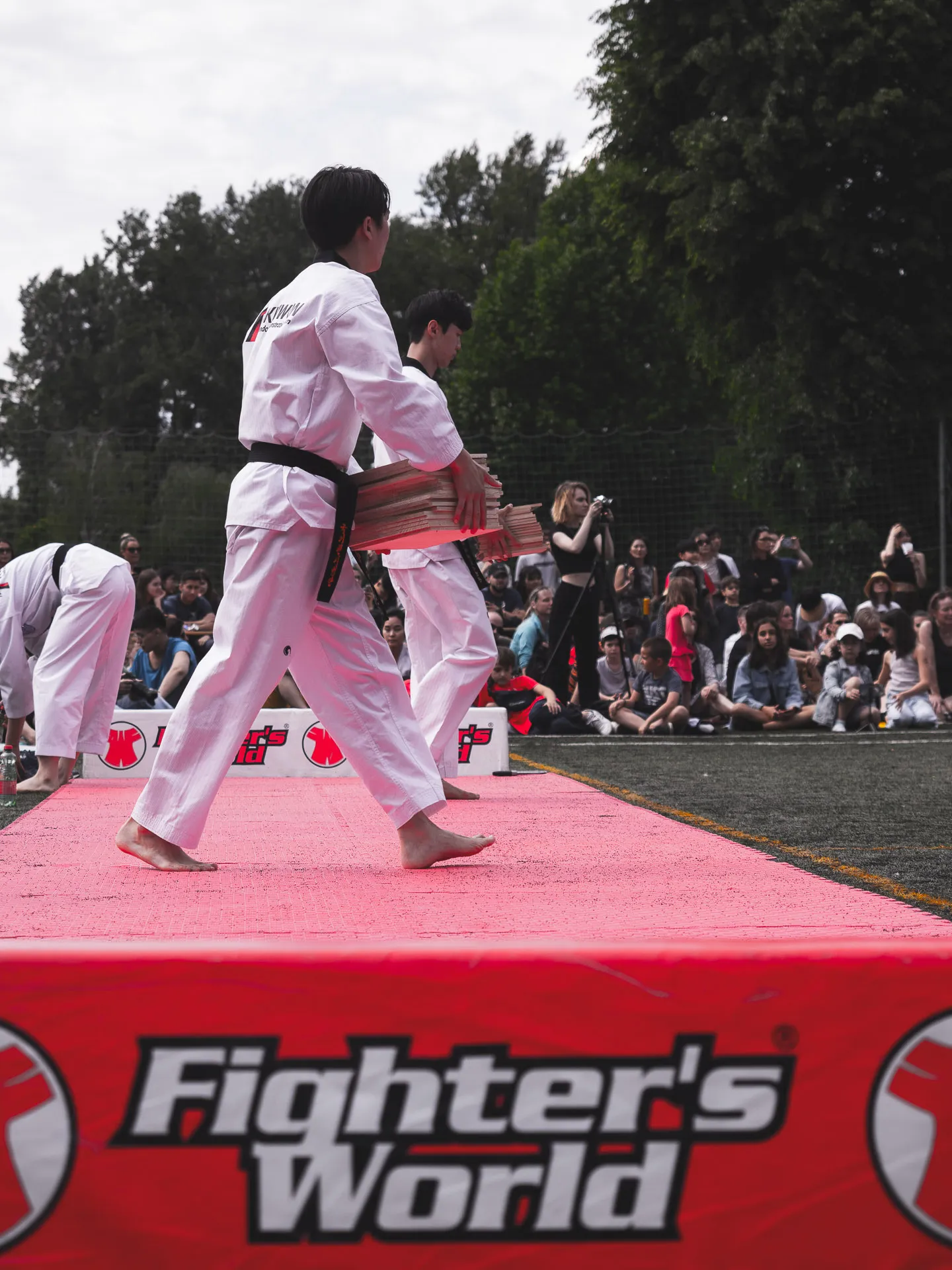Fighters World